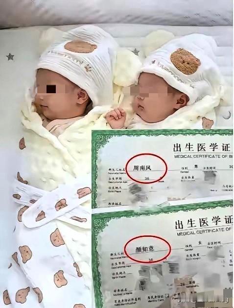 惊！这对龙凤胎名字直接杀疯了，文化人起名果然自带高级感！

男孩周南风，女孩颜知