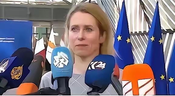 就在最近，欧盟正式官宣了一个让全球科研界震动的决定：从2026年起，把中国科研机