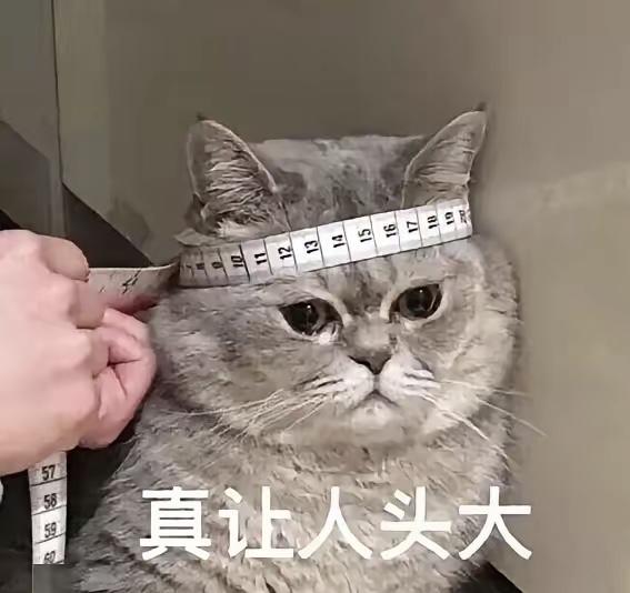 听到一个形容青春期孩子的词～半兽人，我也是服了[捂脸][捂脸]

有网友说她家有