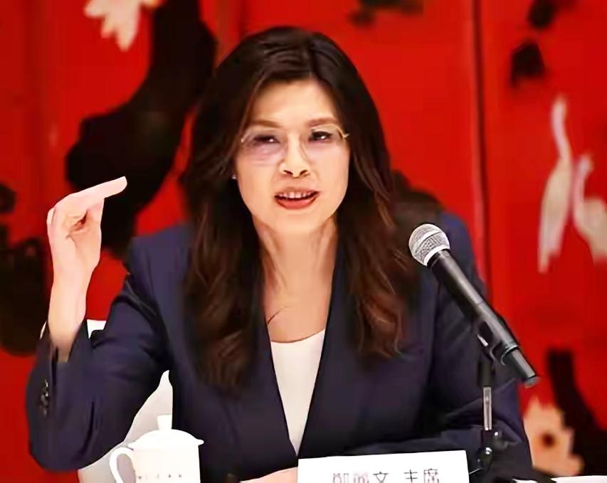 郑丽文反复提醒时间窗口！2028不是单纯选举节点，而是台海和平的分水岭
 
前言
