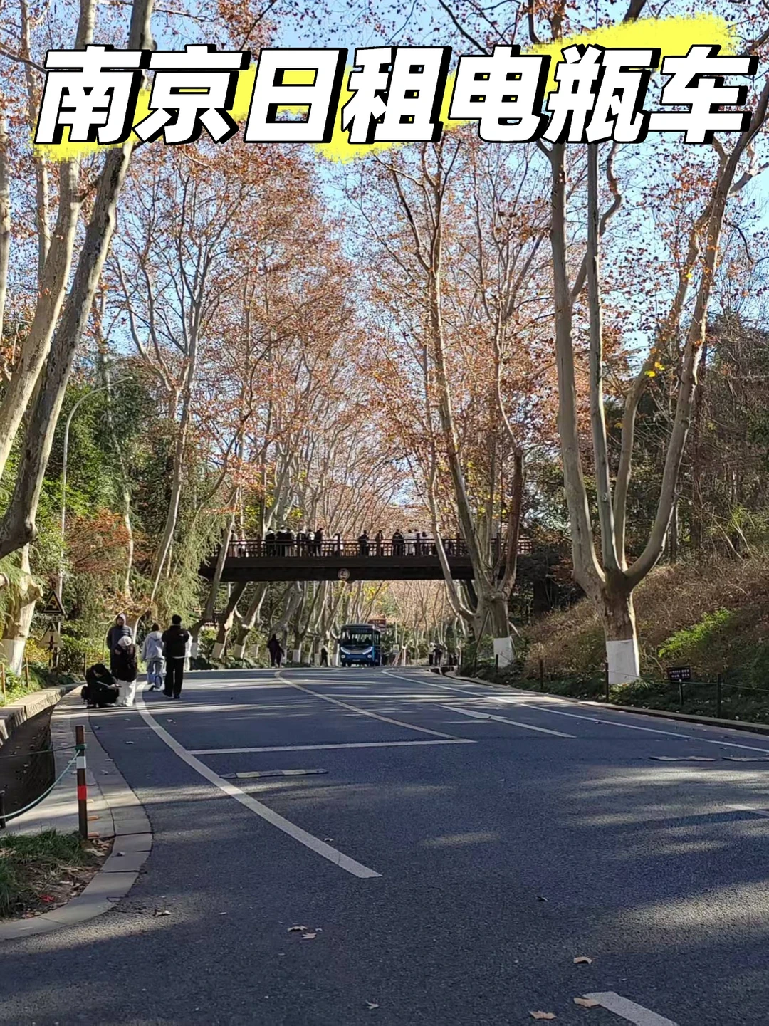 这个寒假在南京最正确的决定就是租电瓶车