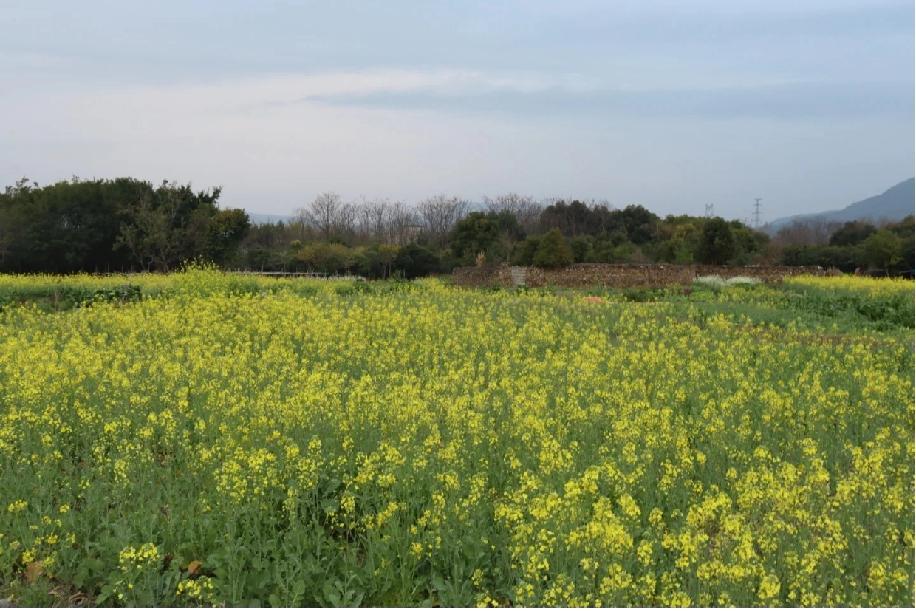 考公尽量别选异地，我就是赣B到赣A的异地编制，两地相距五百多公里，就算考上的是省