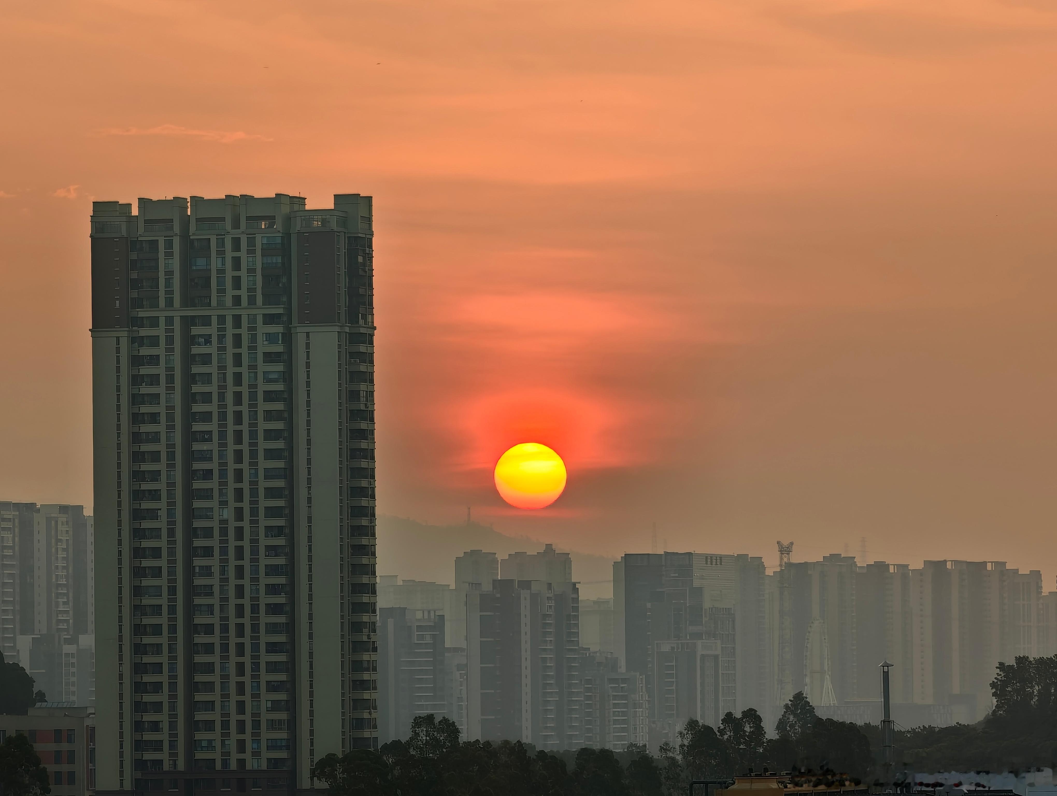 每天早起打卡早ﾉ☀ 