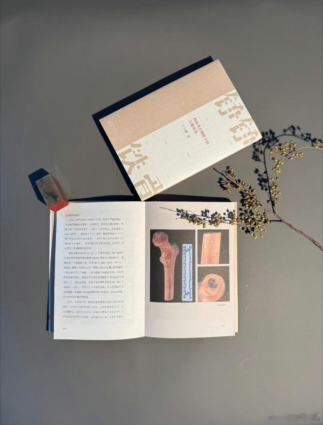 《铮铮铁骨》：以科技之钥，唤醒沉睡的无名英魂当冰冷的骨骼在实验室的无影灯下重见天