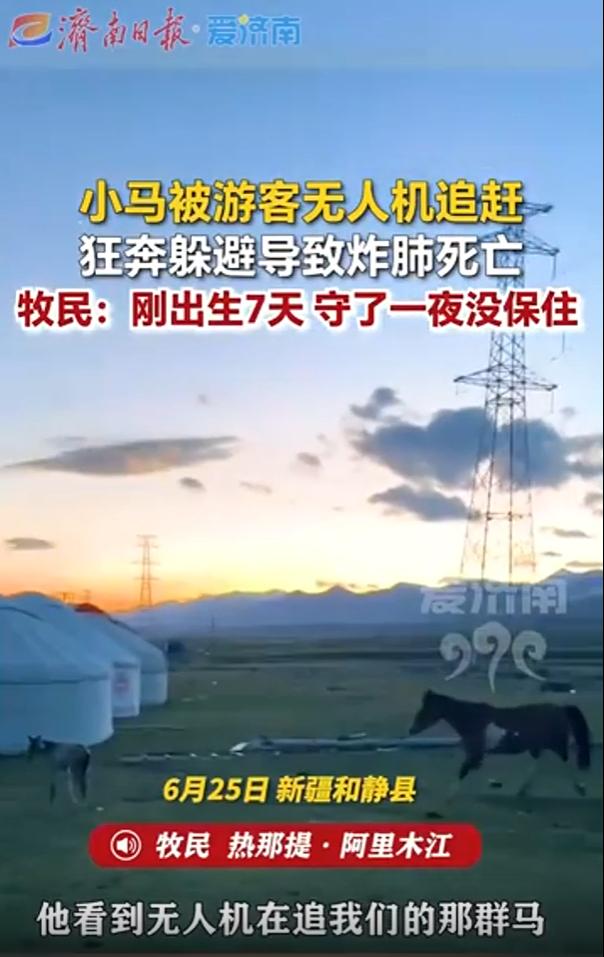 新疆巴音郭楞，一名游客，为了追求镜头下的“史诗级大片”，竟然操控着嗡嗡作响的无人