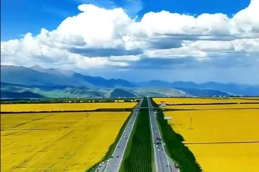 一位老教师的话，点醒无数备考高中生！

想考好大学，真不用门门拔尖，那是天才的事