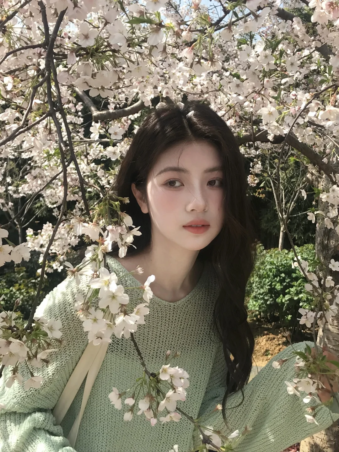 ₊ ₊⁺·𖧷 𝖲𝖺𝗄𝗎𝗋𝖺 🌸