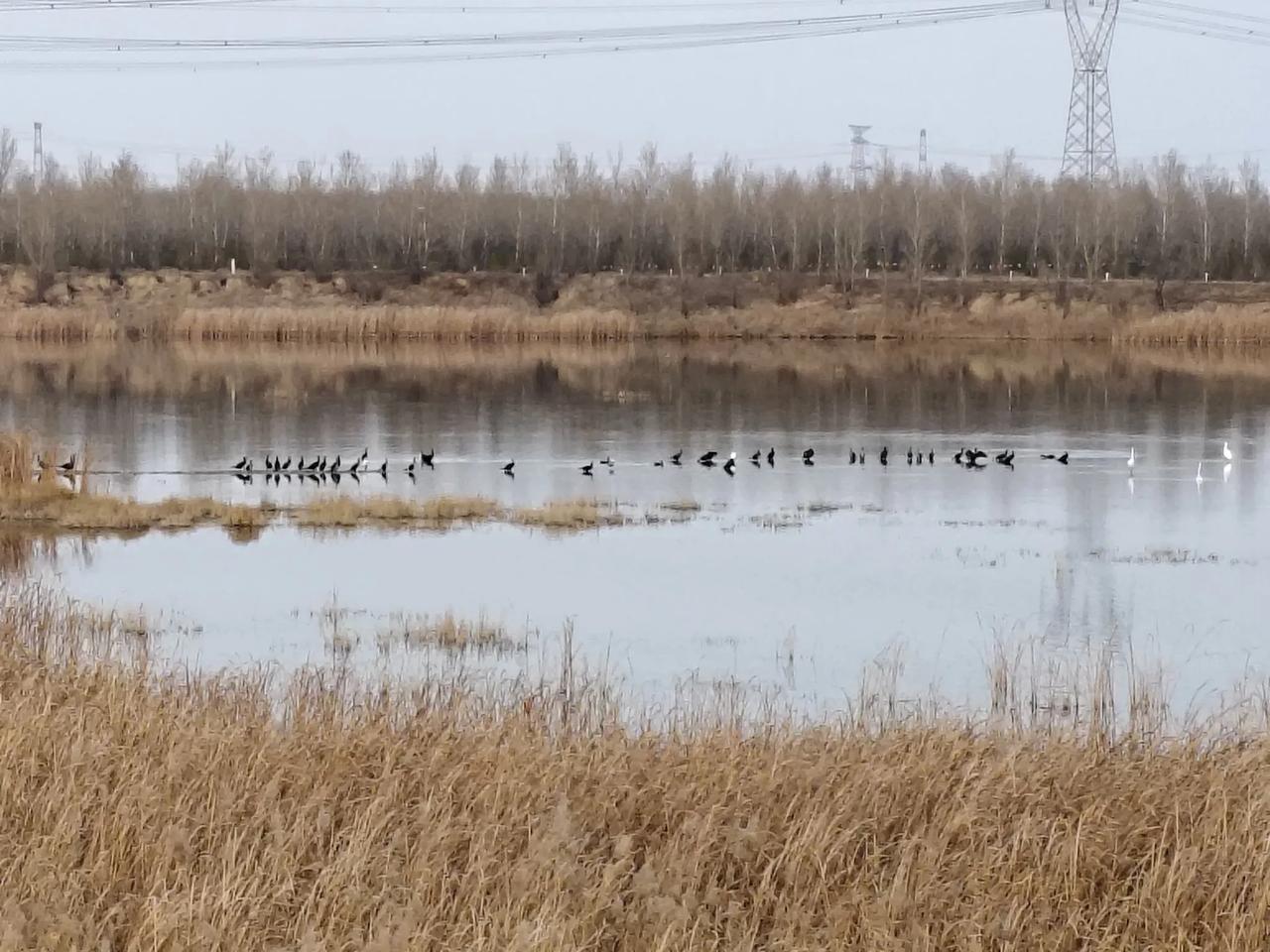 现在的环境保护真的很不错，对于我们北方小县城来说，又没有大的水源，但是就凭污水处
