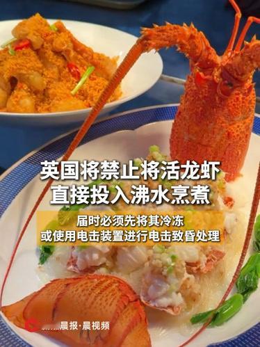 禁止活煮龙虾，真不算个啥，西方这样护生才是奇葩！


英国人的“圣母心”又泛滥了