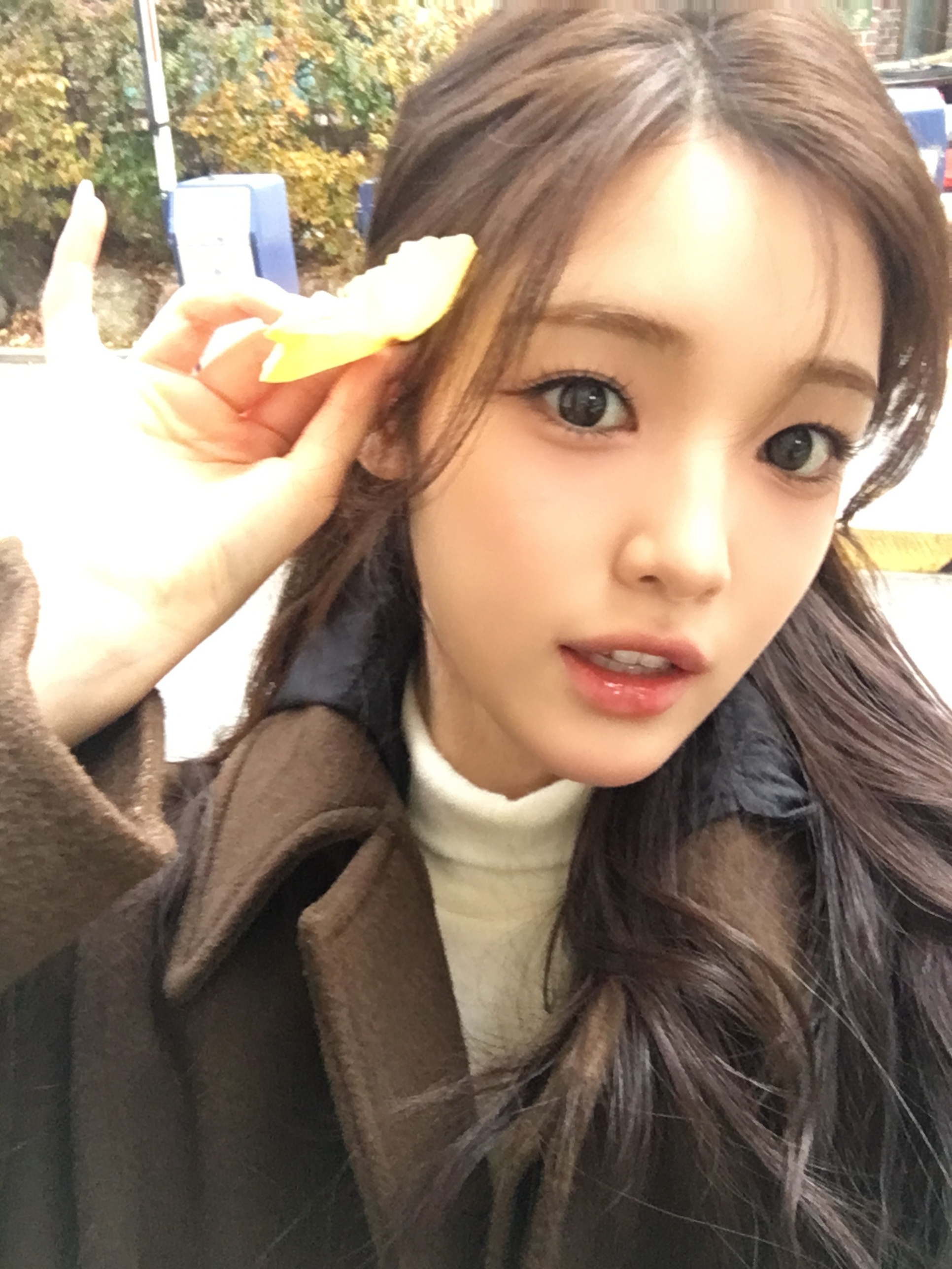 251204 wvs我…不在…可是…初雪已经来了…….？？？yuha's wvs