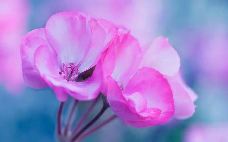 男人对一个女人最高级的爱，就是上心，才叫靠谱。
你交代给他做的事情，他是不会怠慢