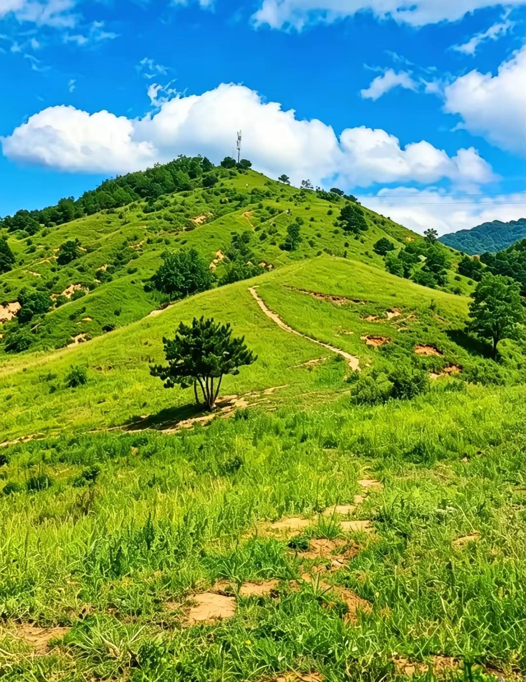 生活里的美好，从来都藏在这细碎又温柔的日常里。


爱意满满，满眼都是彼此
心安