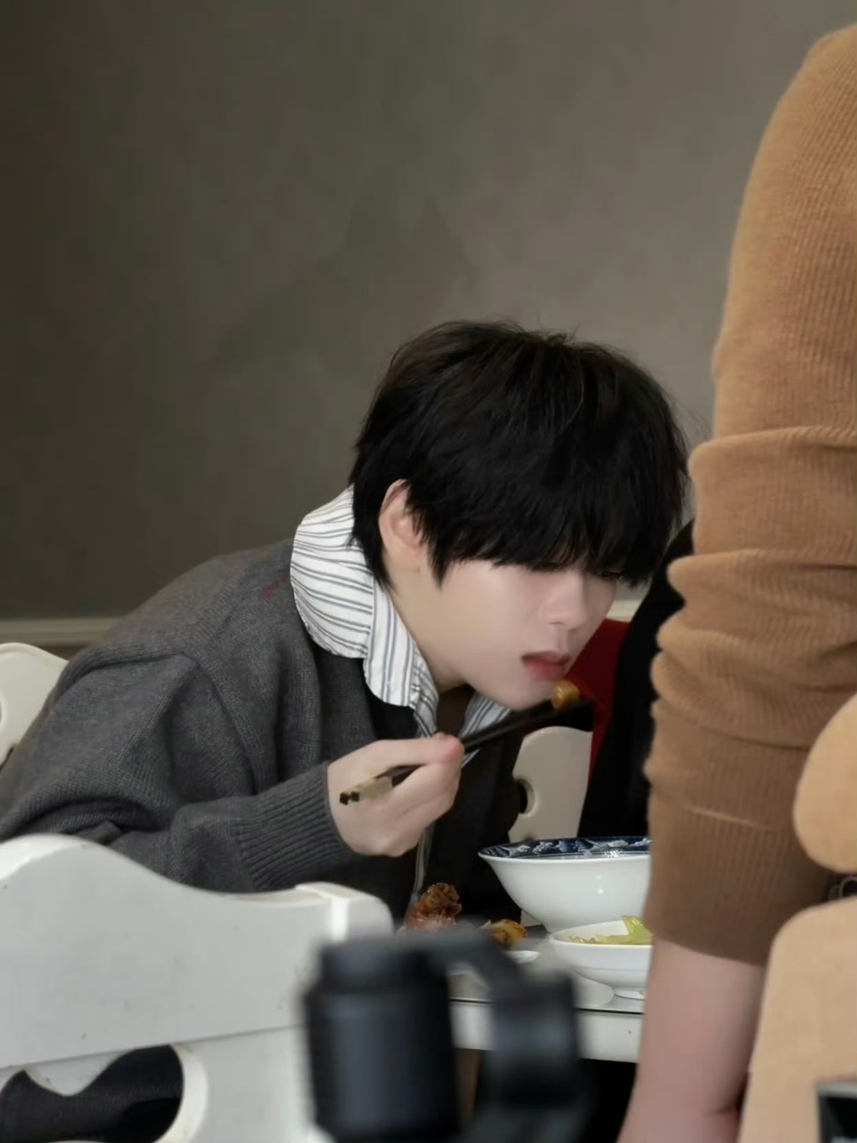 这里有一只小马尔济斯进食 