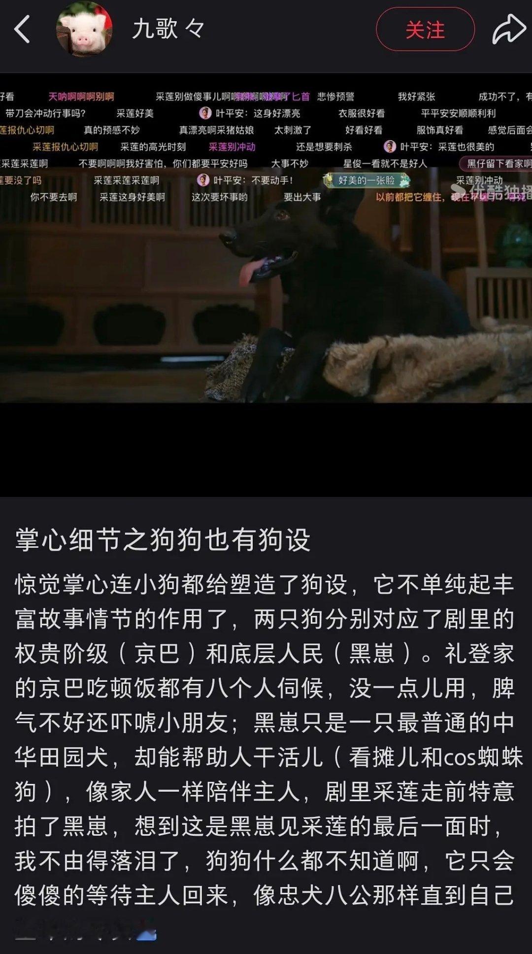 [淡淡的]正无聊刷着刷着被掌心的狗狗刀了一次，我咧黑仔哦 