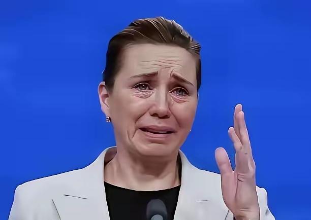 丹麦闹剧！
讨好美国反遭捅刀，硬刚美侵岛却无兵可用，最后还想拉中国下水！

丹麦