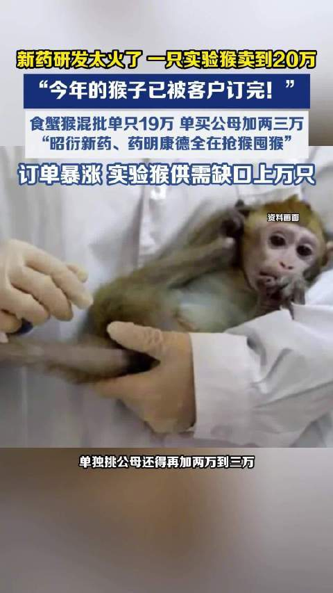 【猴价涨疯了】近期“猴子”刷屏投资圈。据报道，实验猴市价已涨到20万，堪比一台中