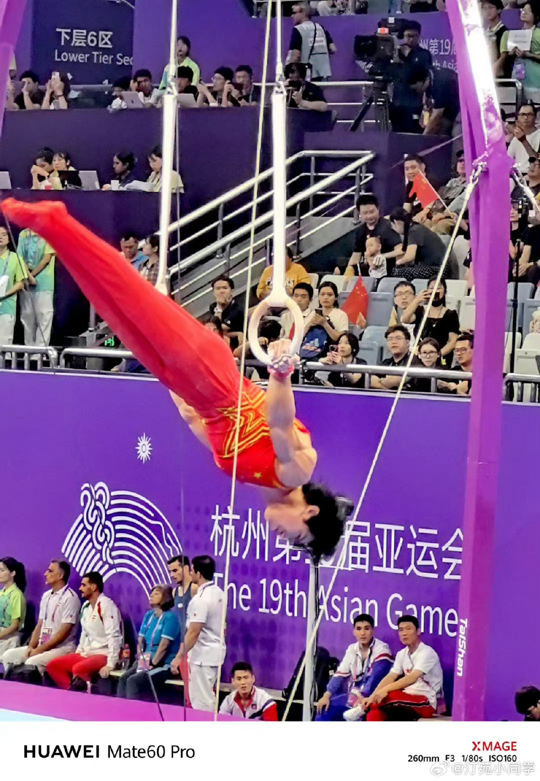 #张博恒实力出圈#炒鸡精彩！可太喜欢看体操赛了，张博恒不愧是全能王，一环扣一环的