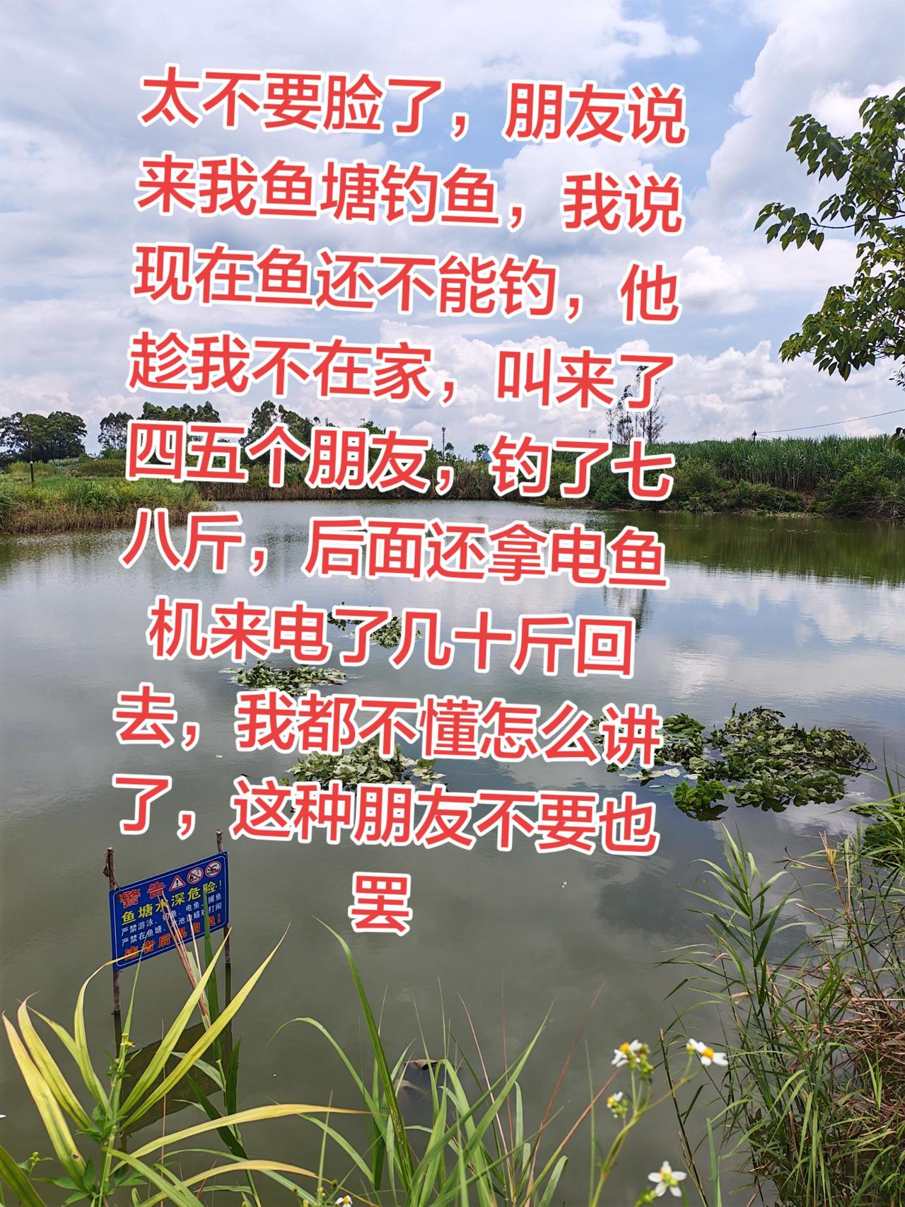 身边有这种朋友到底怎么办？要还是不要？说了也不听，我都无语了养鱼 养鱼日记 农村