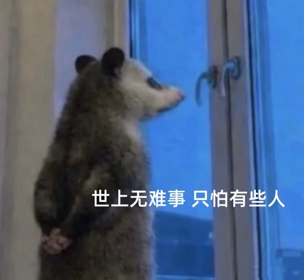 我开始焦虑。本来要去新疆大玩一场也踏马别去了。 