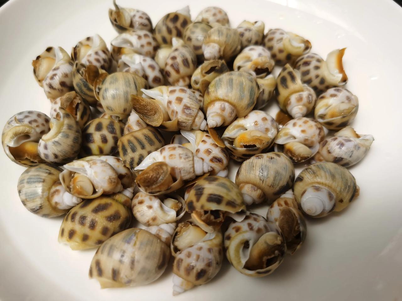  晚餐两菜一汤，白灼花螺、炒荷兰豆炒鸡蛋、竹薯玉米排骨汤。