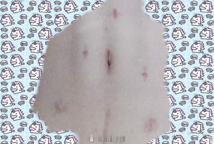 假如这是你女朋友，你会嫌弃吗？ 