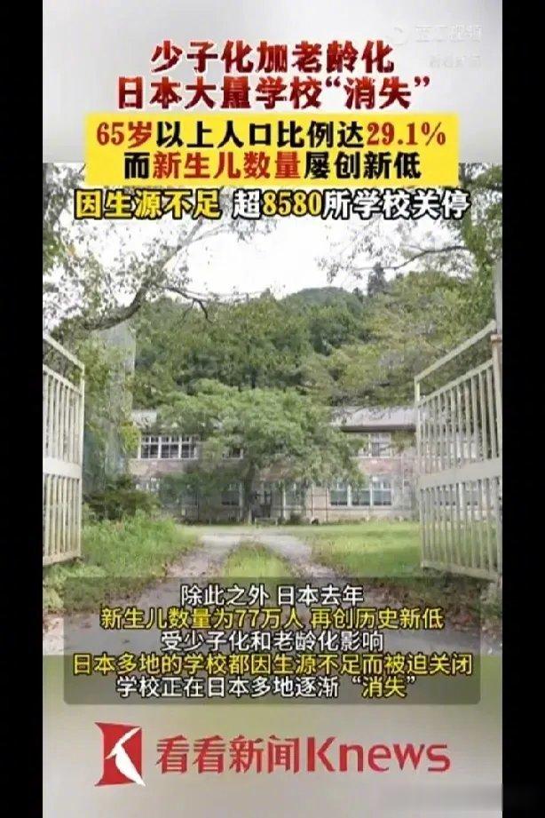 简单捋一下这个逻辑：日本女拳反婚反育，导致8000多所学校关门，而学校女老师居多
