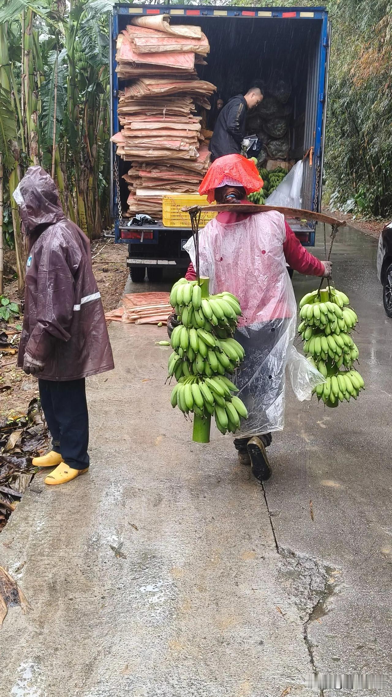 收获的季节，感谢土地的赠予。