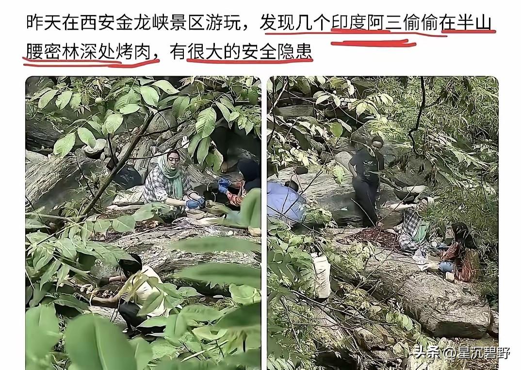 胆大包天！
几名印度籍游客躲进西安金龙峡半山腰的密林深处，偷偷生起明火烤肉，专挑