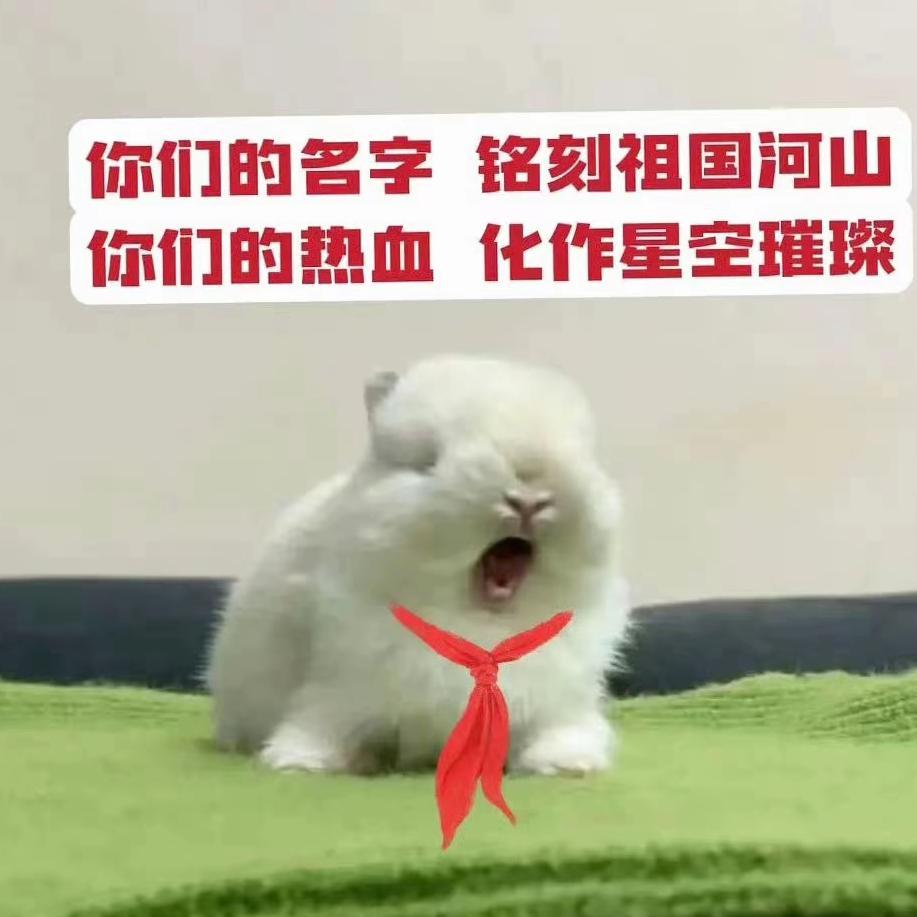 纯种兔子 血统纯正 萌得正宗🫡 ​​​