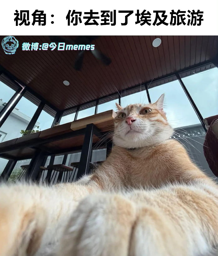 壮观（9gag）今日meme 今日memes