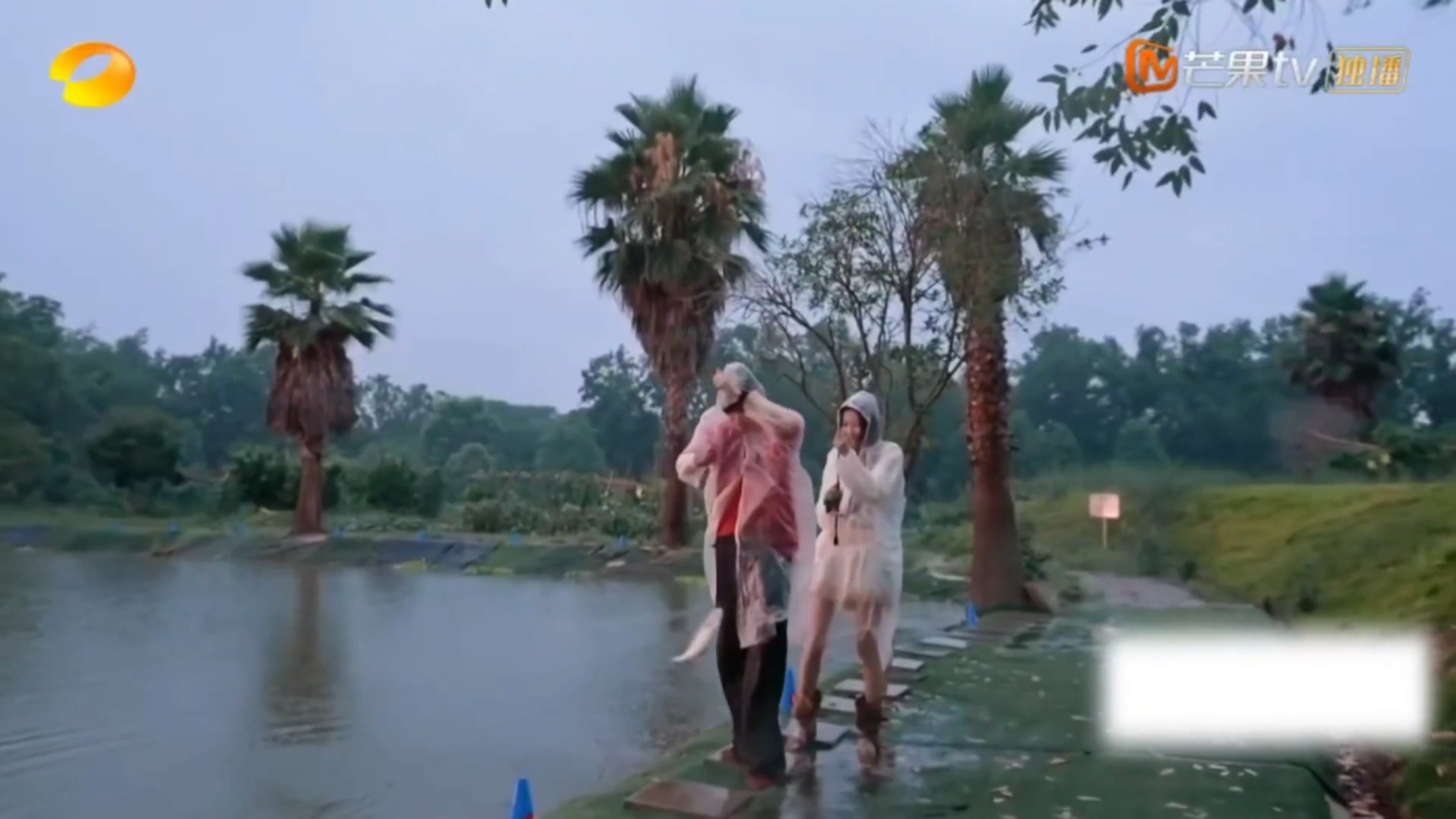 周翊然钓鱼遇上新手保护期笑点直接拉满！雨夜钓鱼周翊然化身贴心向导，细心科普垂钓知