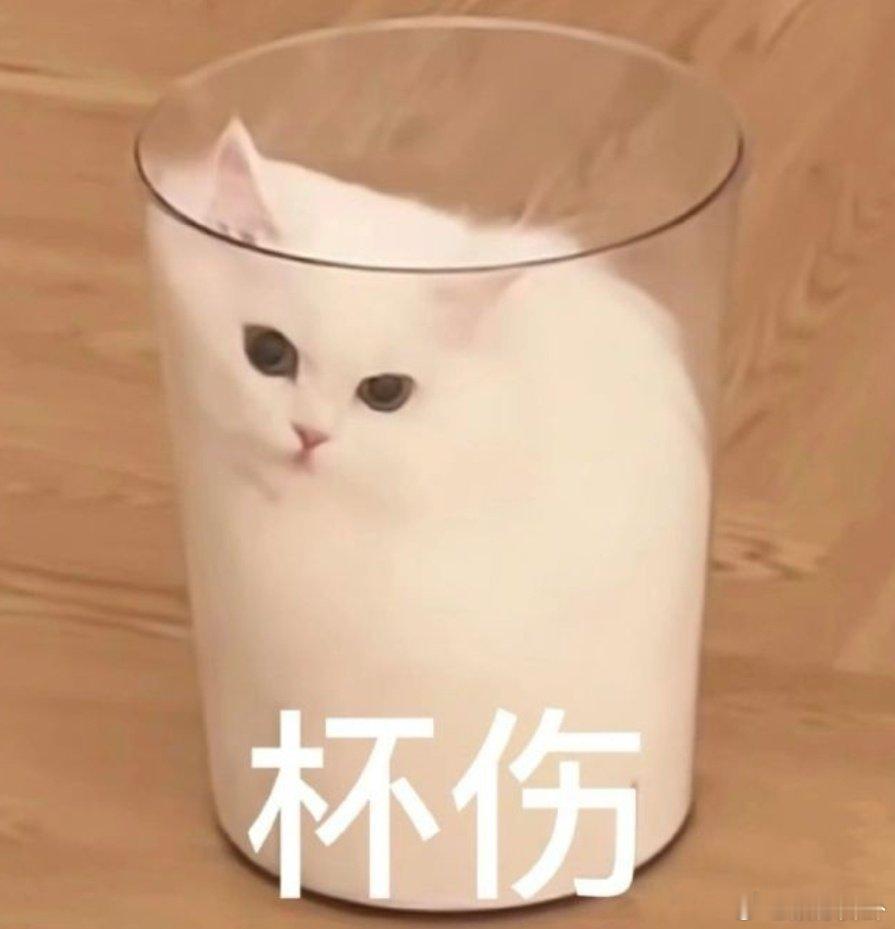 到底什么样的小说才能被称为神作  能让人在阅读过程中感受到作者的智慧和才华的，这
