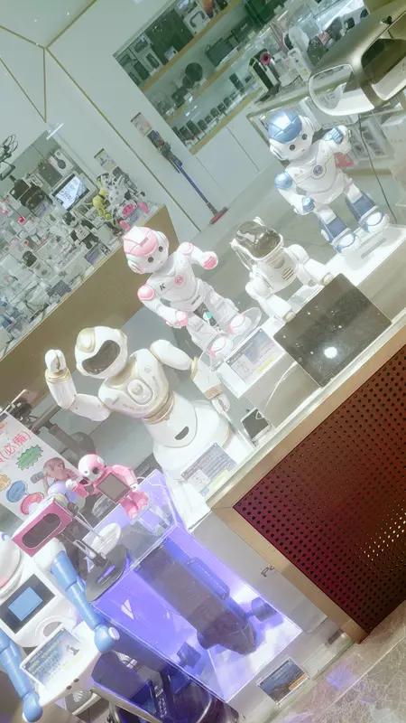 全球首家机器人6S店安徽首店落户合肥瑶海啦！3月13日，瑶海区与辰曜智科国际签了
