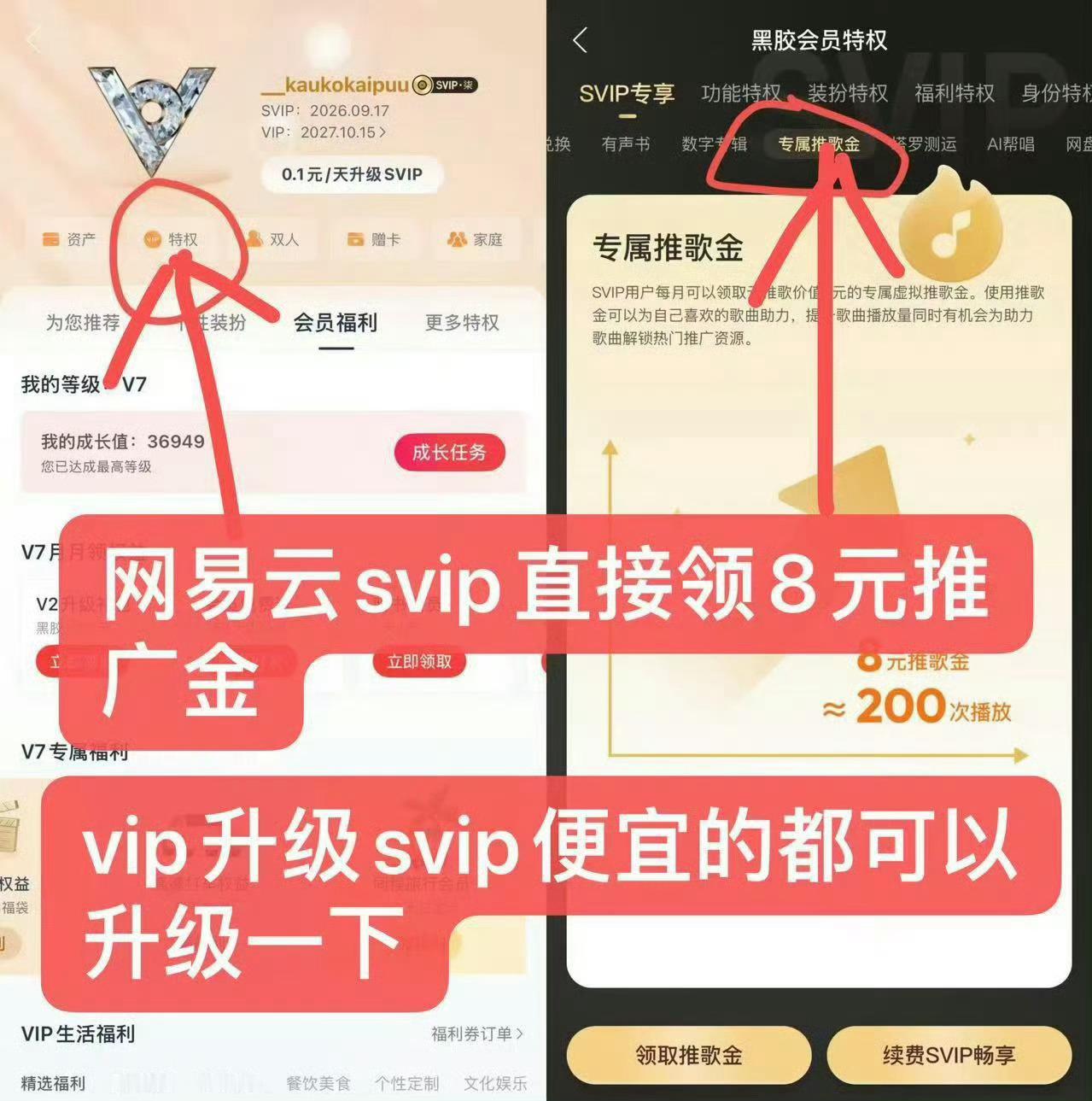 还有这个月没开svip的没领520免费推歌金的都领  这个网页链接