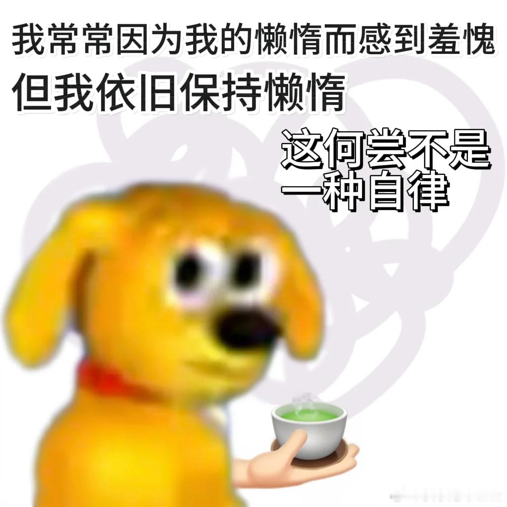因为懒得叠衣服所以把所有衣服都挂起来了