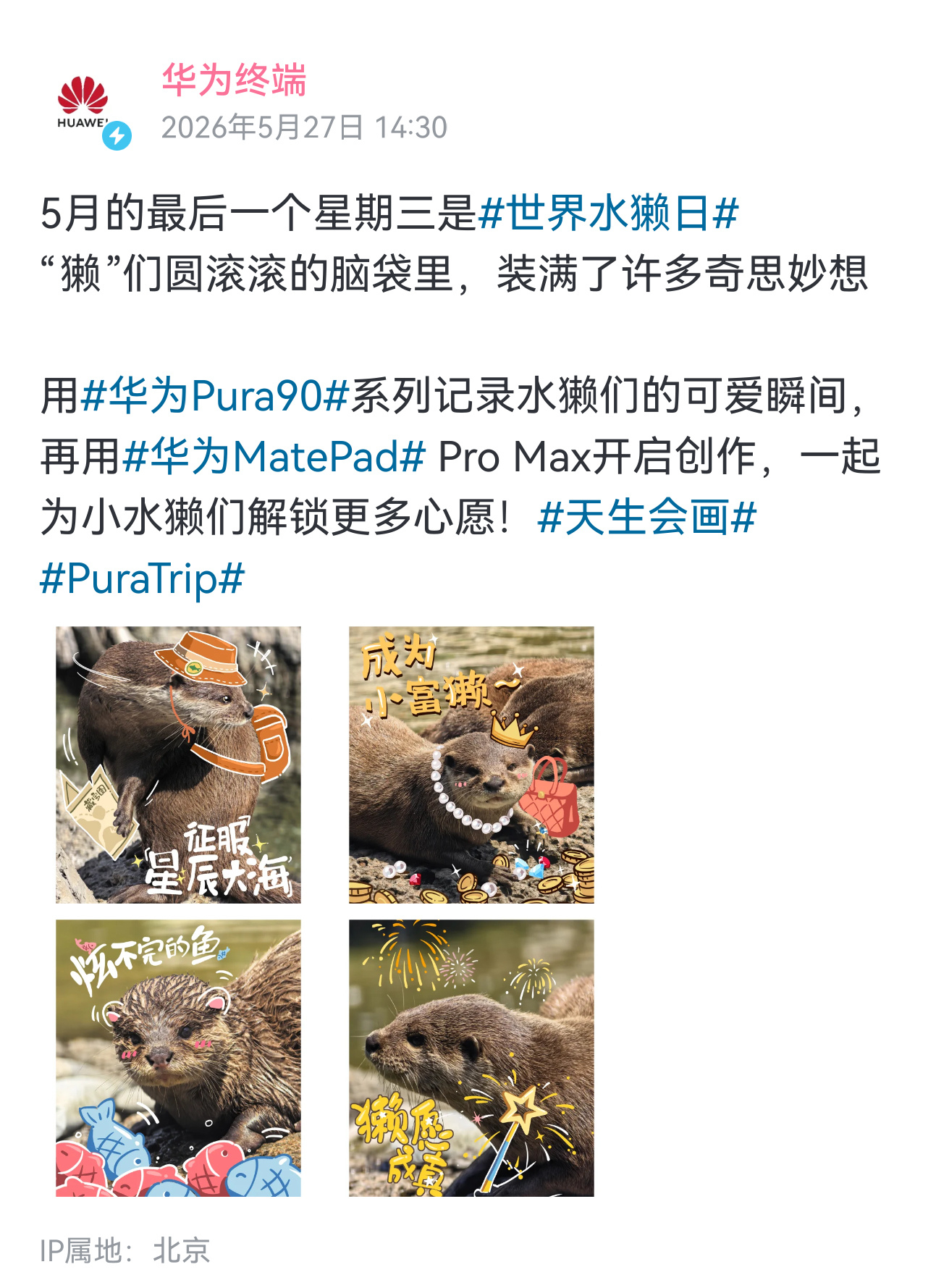 今天是世界水獭日 ~ 
