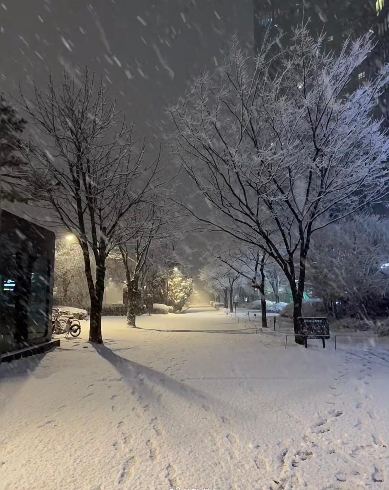 【山东又又又要下雪啦】24日白天，渤海、渤海海峡和黄海中部偏西风5～6级转北风7