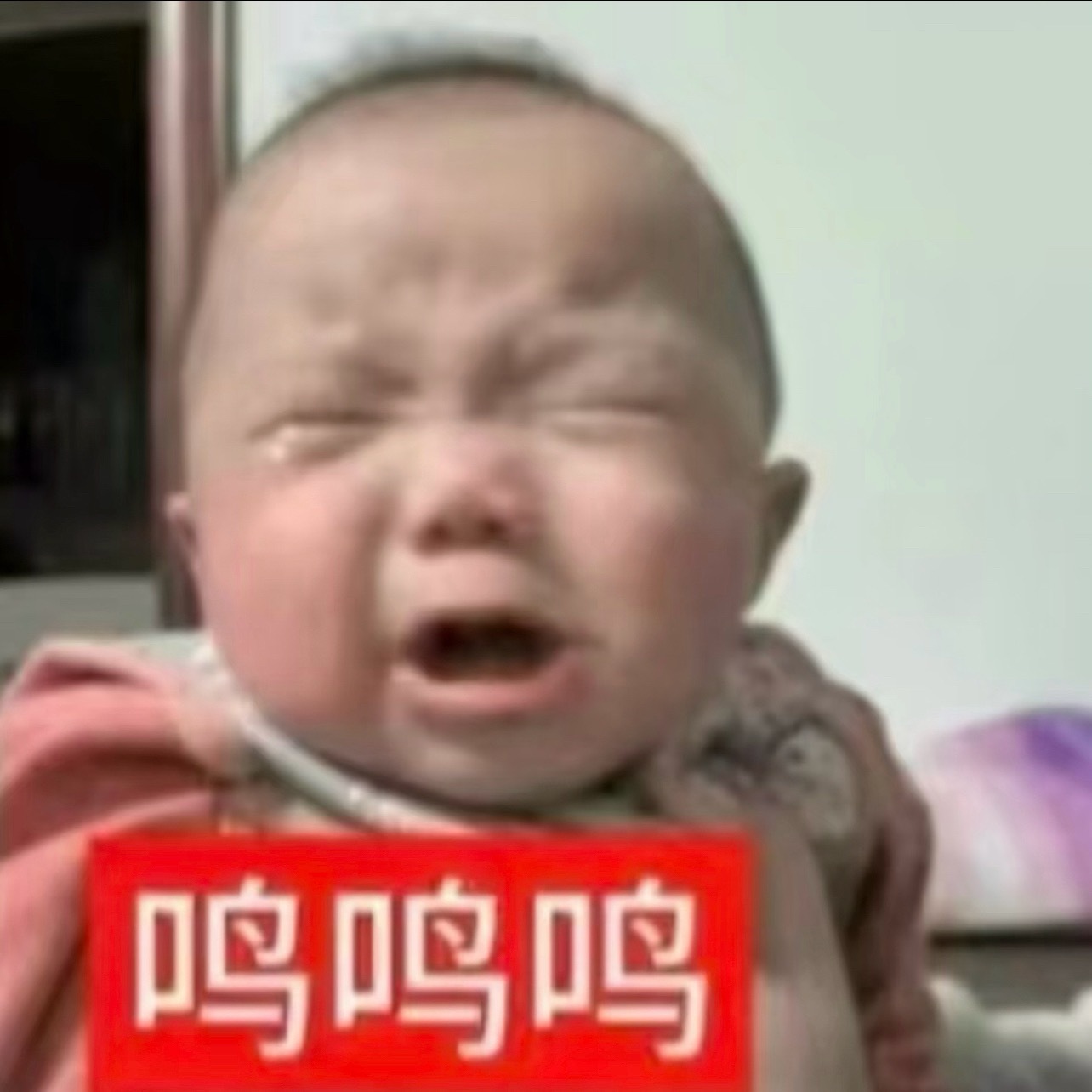 分享图片 