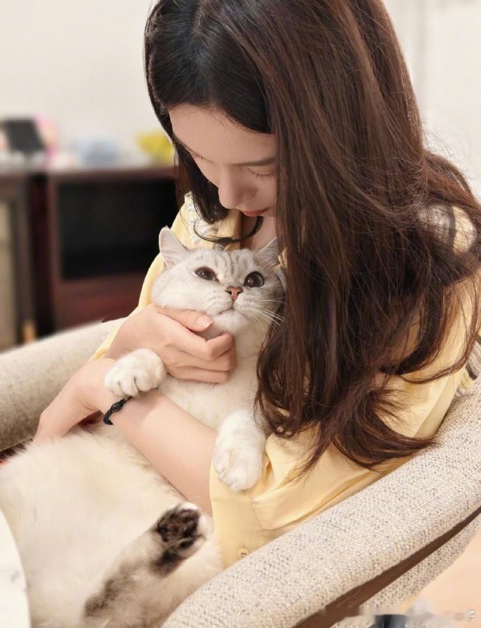 陈瑶完全猫奴来的陈瑶抱猫手法到位了，完全猫奴来的，我也想躺姐姐怀里呀陈瑶抱猫 ​