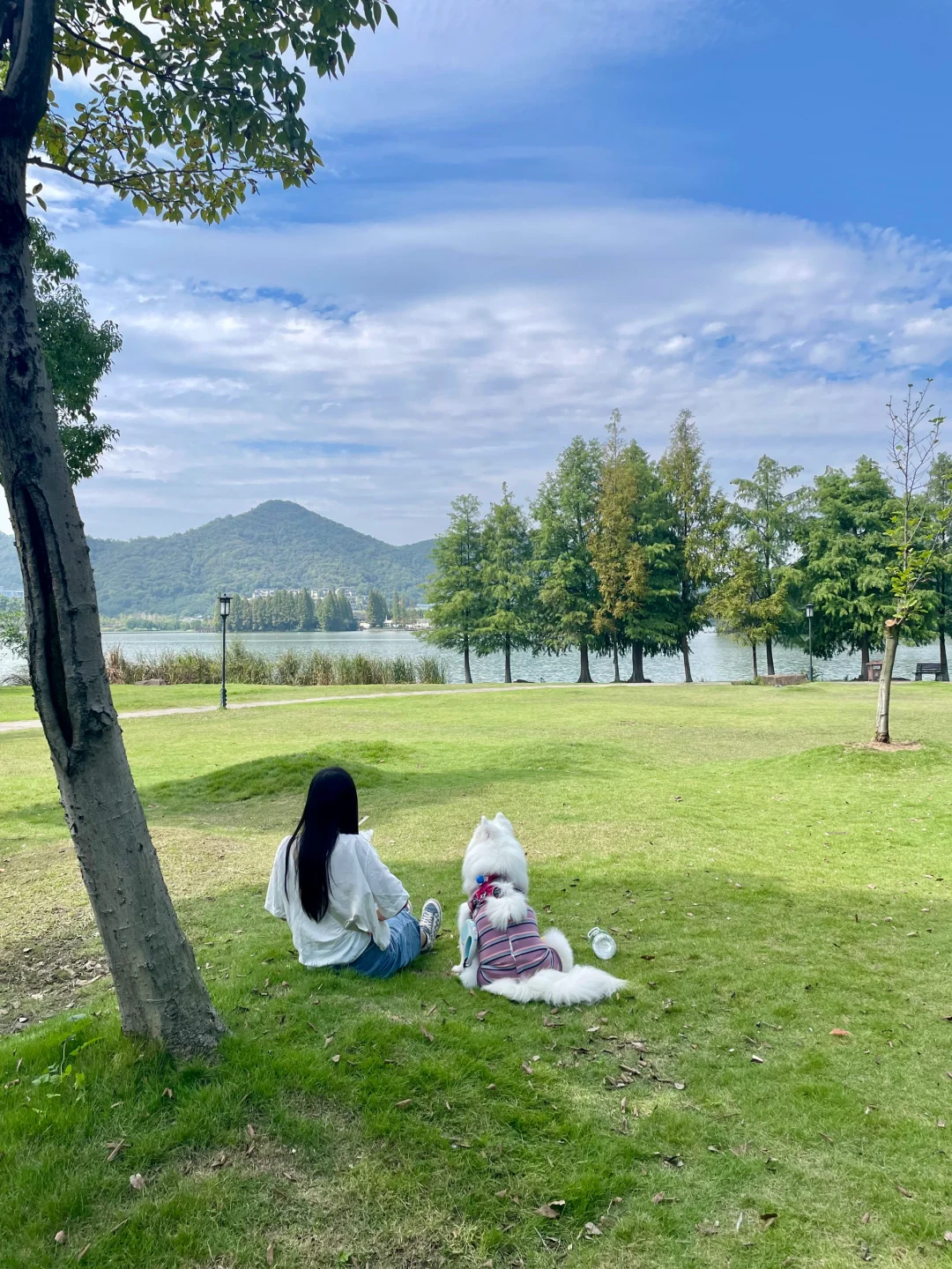 小狗什么也不懂，她只知道陪在妈妈身边