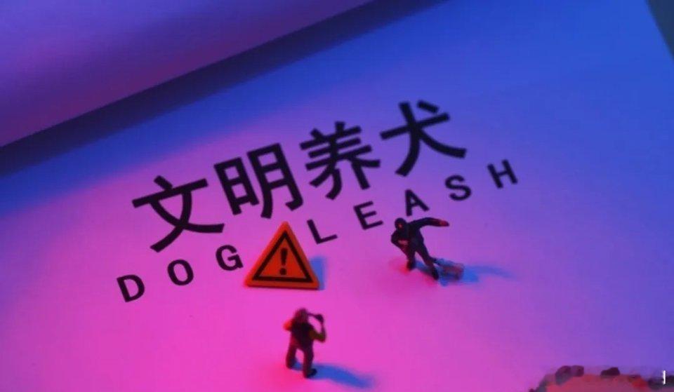 我对外围高开跳水不感兴趣，真正让我悲哀又气愤的是量化资金的所作所为。昨天利好那么