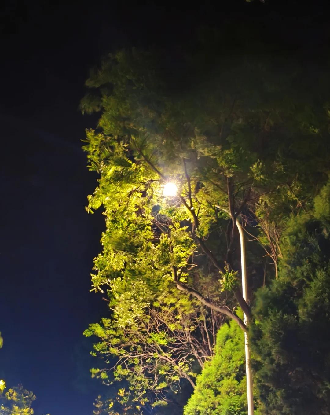 谁懂这种感觉
要怎么去形容这种感觉 说不出的感觉