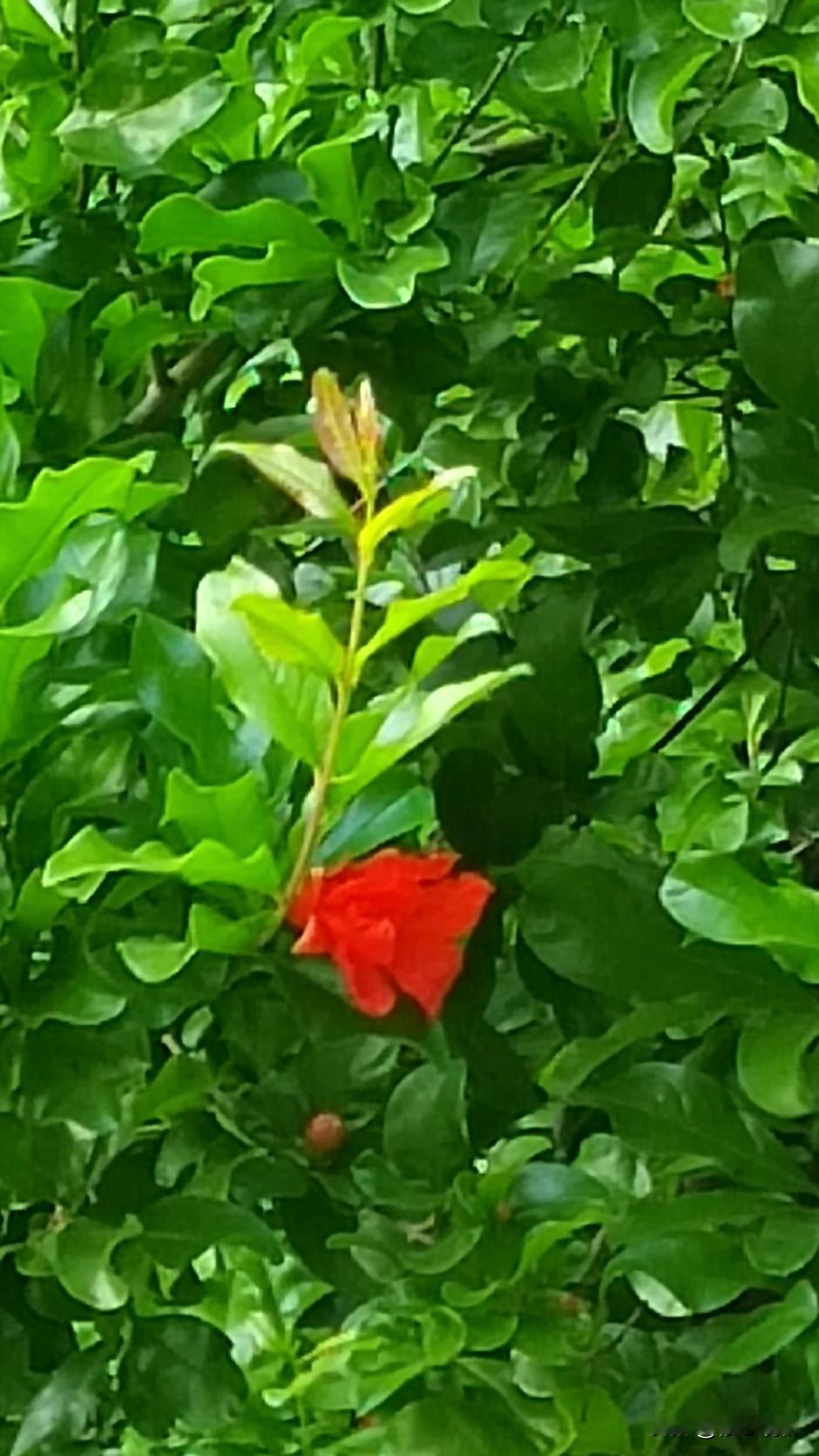 假日闲聊！
      今日头条是我获取新闻资讯的主要渠道，每日必刷。久而久之，