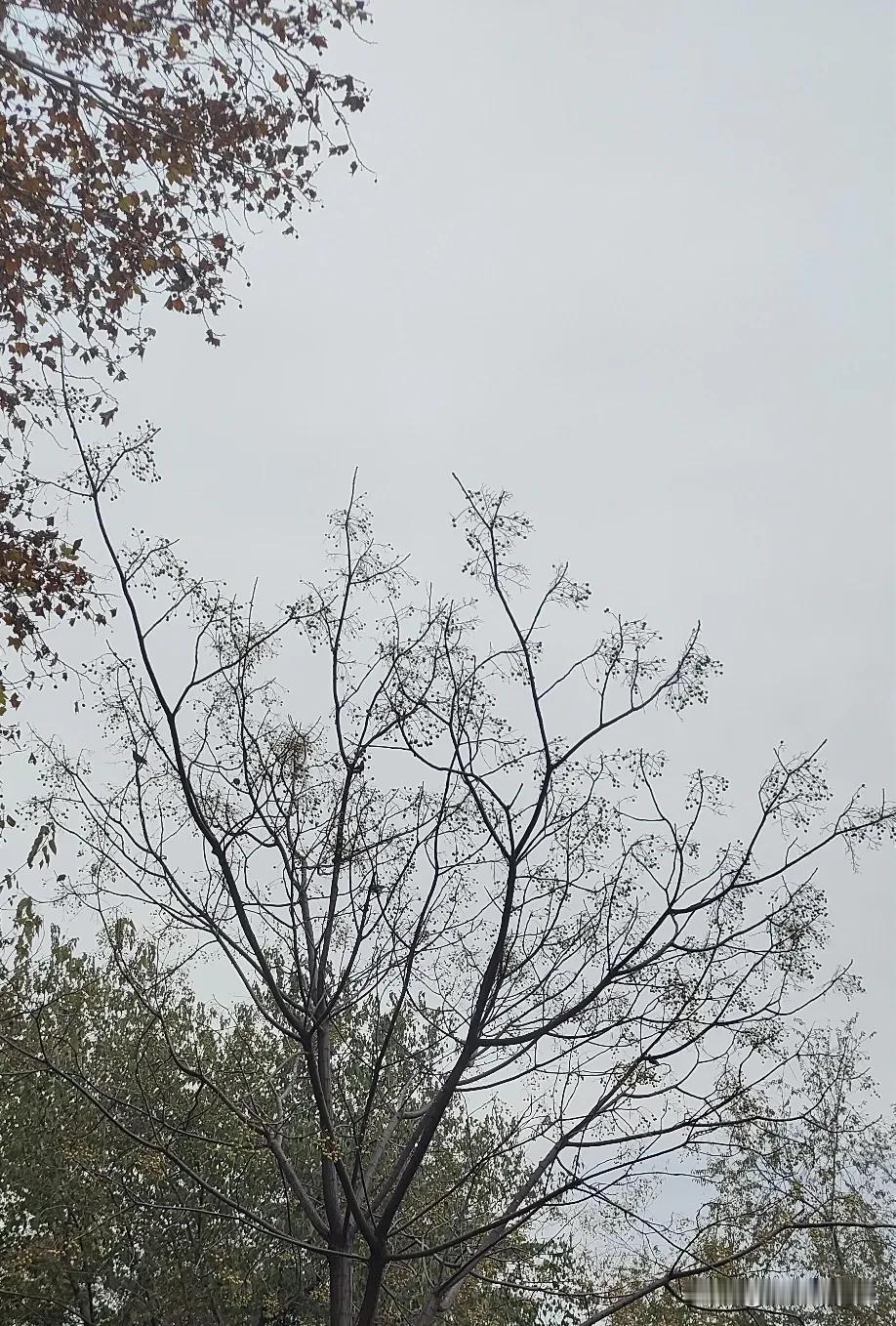 最近在反思！
面对别人问题或困境的时候，思想不能只停留在指责或嘲笑上，而是应该多