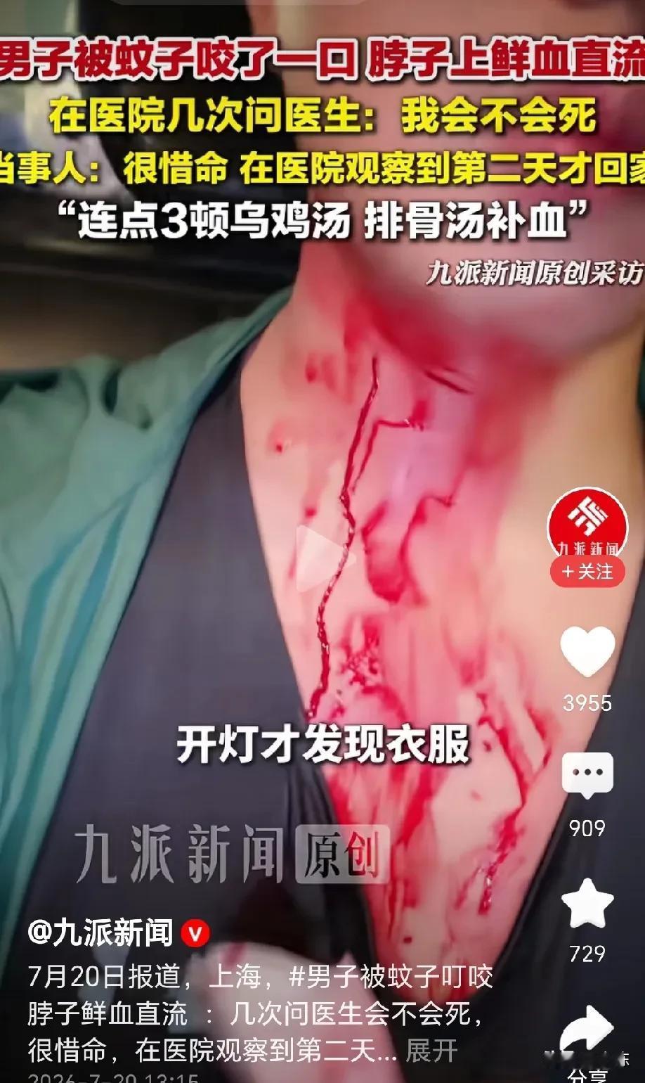 这是精准打击！上海一男子从健身房出来，准备打车回家，不料，等车过程中被十几个蚊子