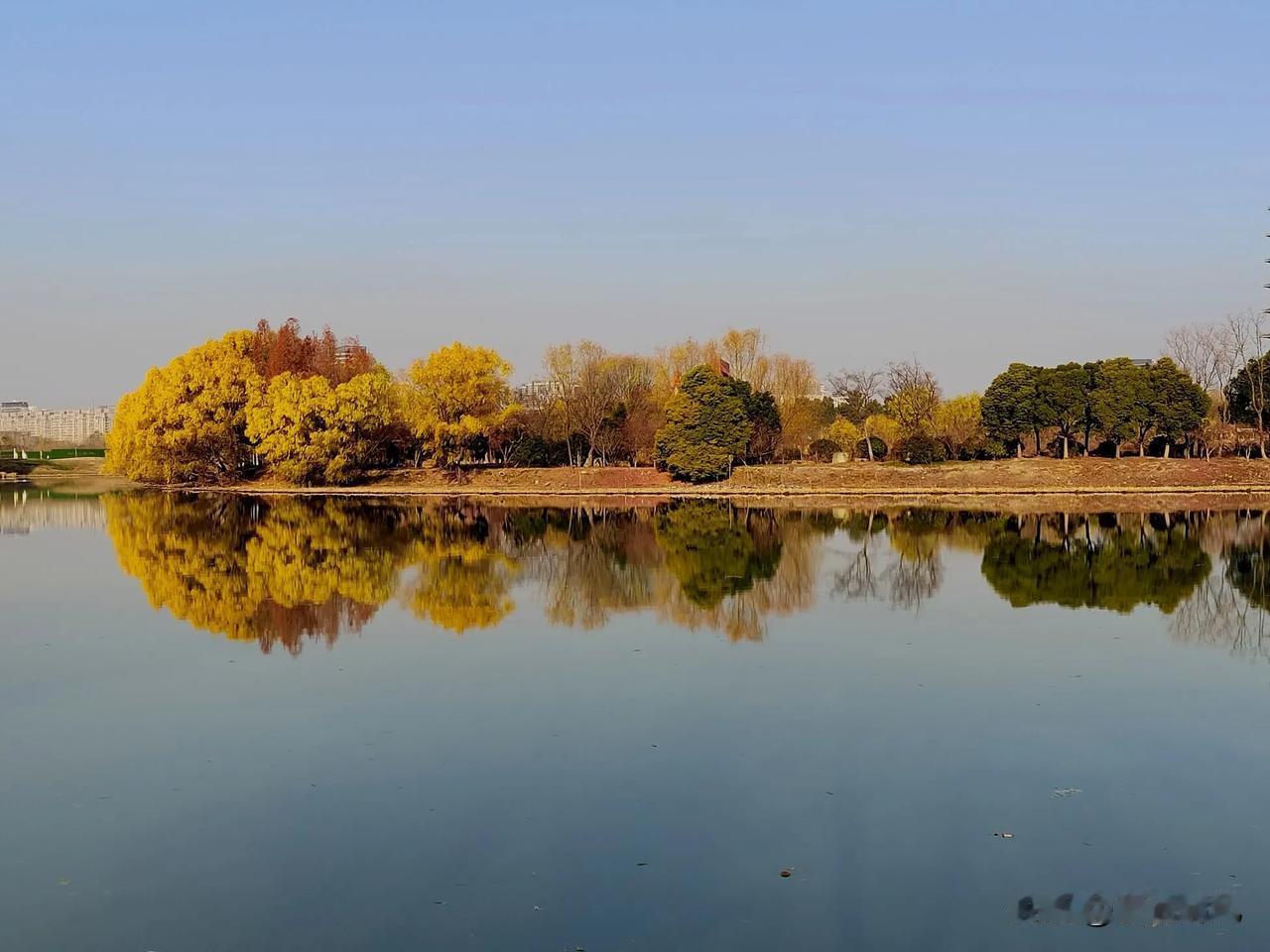 不知道您有没有同感，要想欣赏到不同季节、不同时段的美景，就要对自己 “ 不客气 