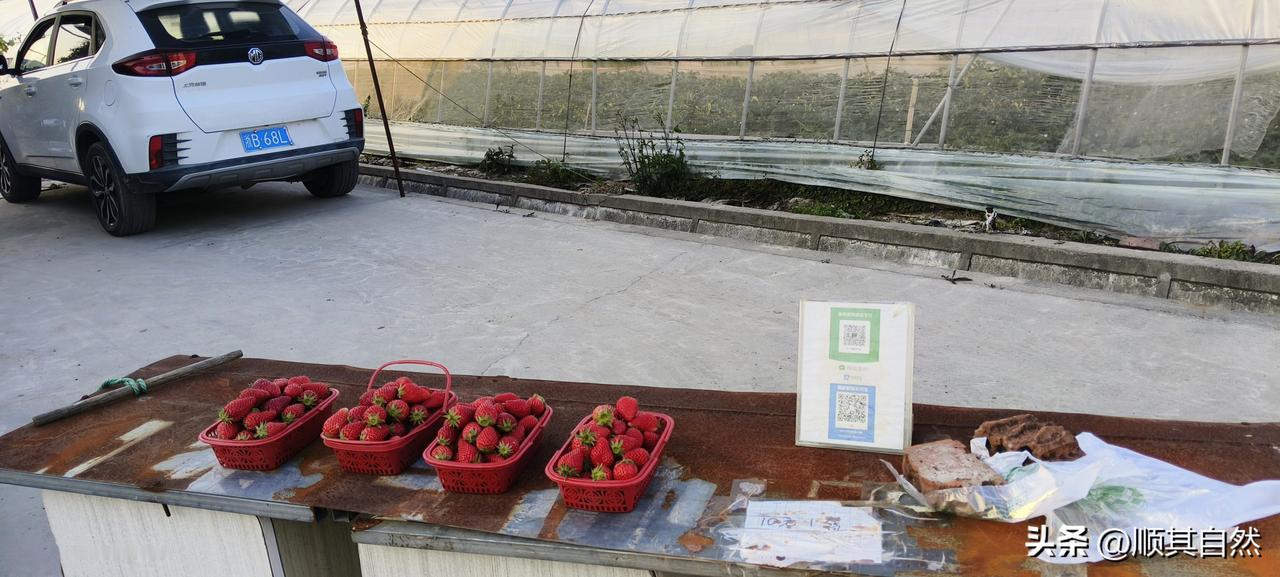 为我的真诚创作点赞！ 👍❤️🔥你也快来发布一条吧！带记录真实生活话题，更容易