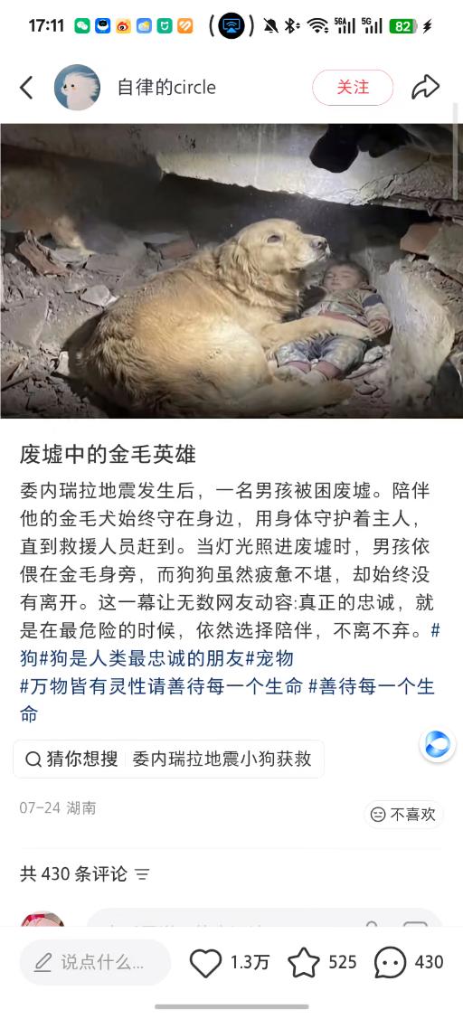 被小红书宠物笔记打动，这就是社区的美好
 刷到废墟金毛笔记，感受小红书社区的暖意