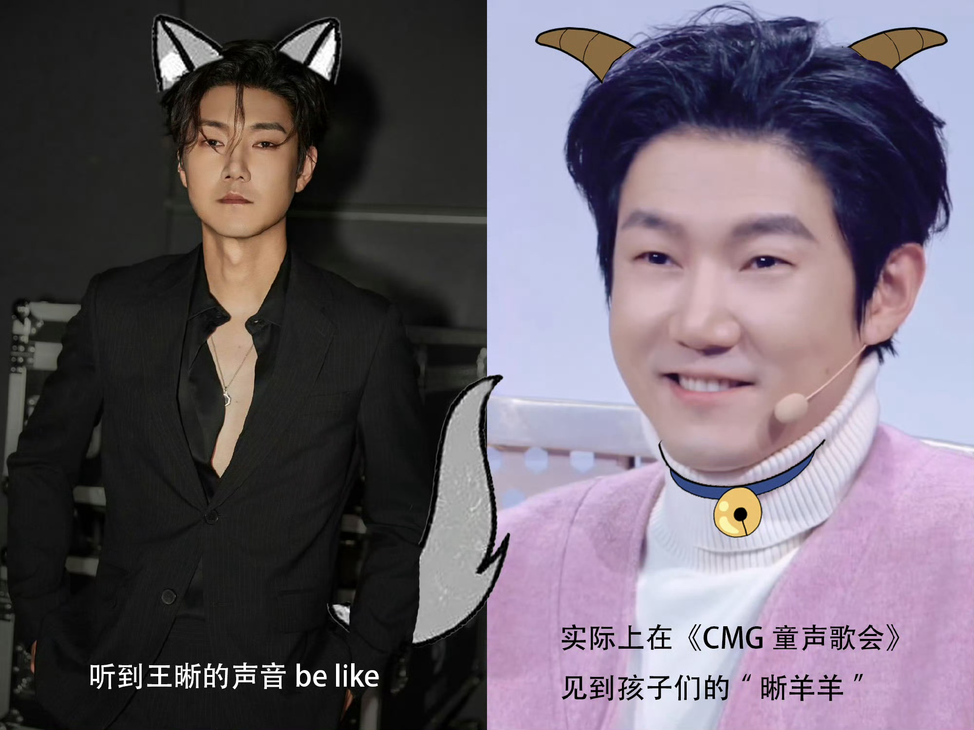 被王晰的反差感狠狠拿捏了气场两米八的“人间低音炮”爆改甜度超标的夸夸群主！王晰在