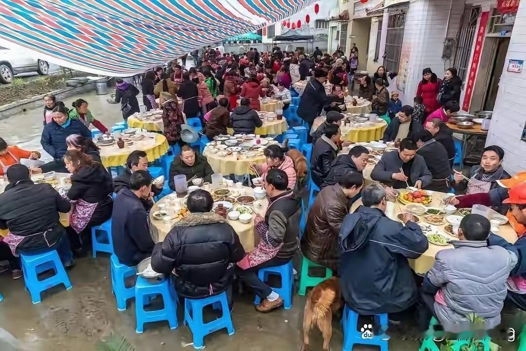 长宁这场升学宴悲剧，最让人无力的，是现实里绕不开的赔偿困局。一场喜事，5条生命逝